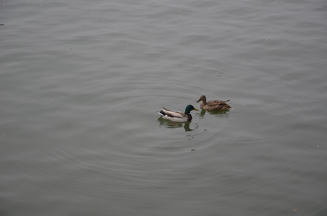 abstract-art-background-pattern-illustration 图片素材