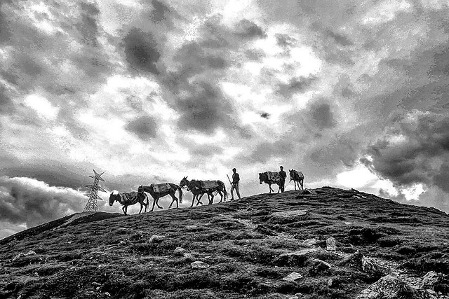 horsemen-on-top-of-the-moutains 图片素材