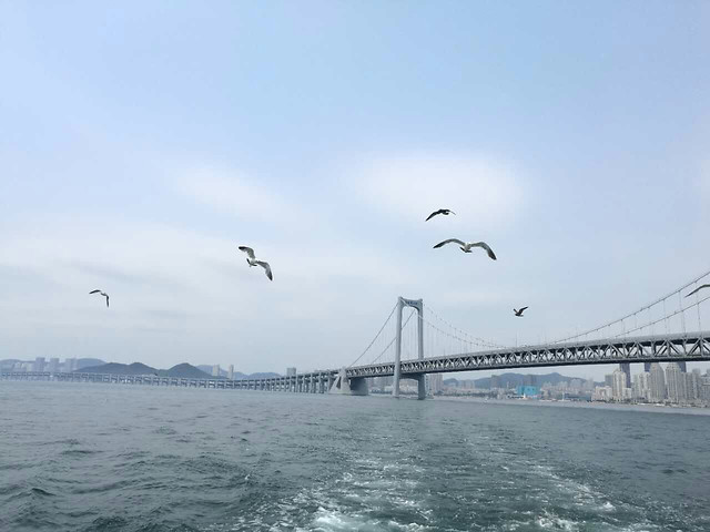 大连景色 图片素材