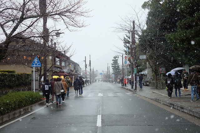 street-road-city-people-lane 图片素材