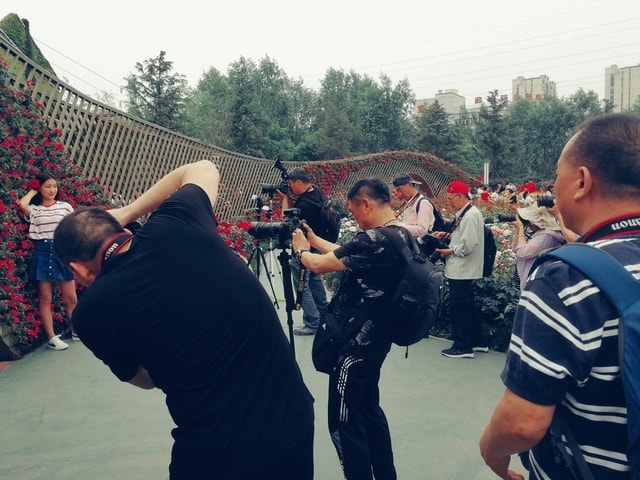 long-gun picture material