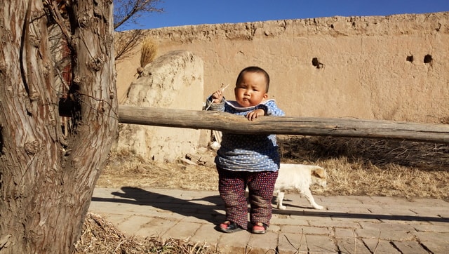 child-tree-girl-people-one picture material