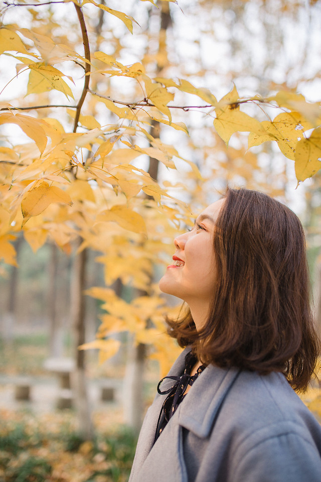 fall-nature-outdoors-leaf-fair-weather picture material