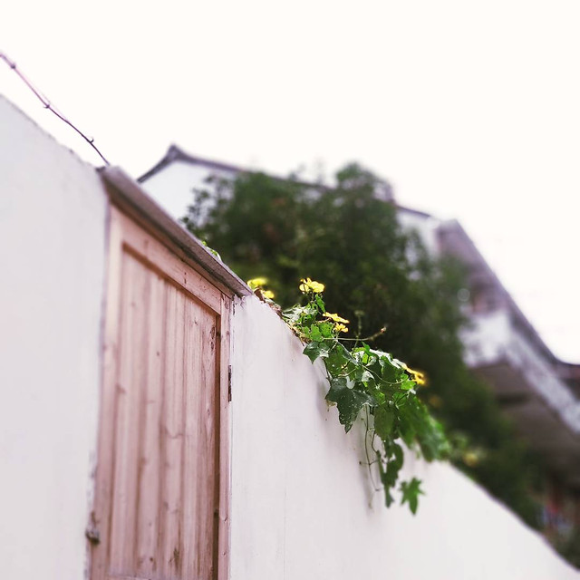 wood-no-person-architecture-outdoors-house 图片素材