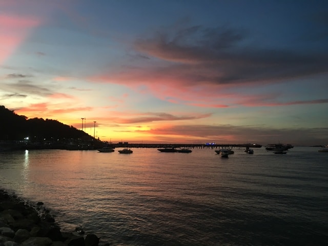 sunset-coconut-tree-sky-body-of-water-horizon 图片素材