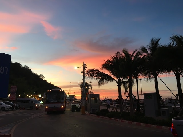 sunset-coconut-tree-sky-afterglow-evening 图片素材