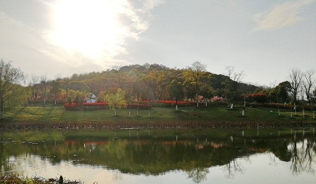 spring-sun 图片素材