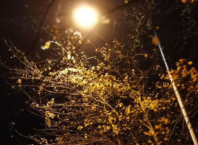 night-lights 图片素材