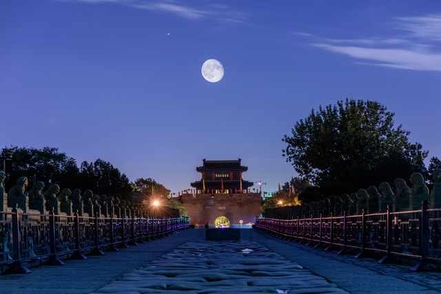 sky-nature-light-architecture-tree 图片素材