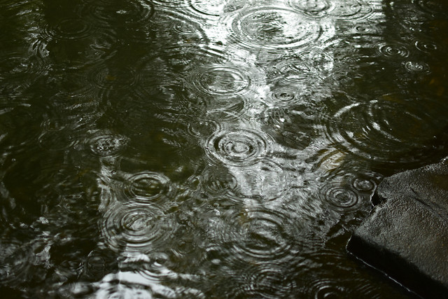 wet-h2o-water-desktop-reflection picture material