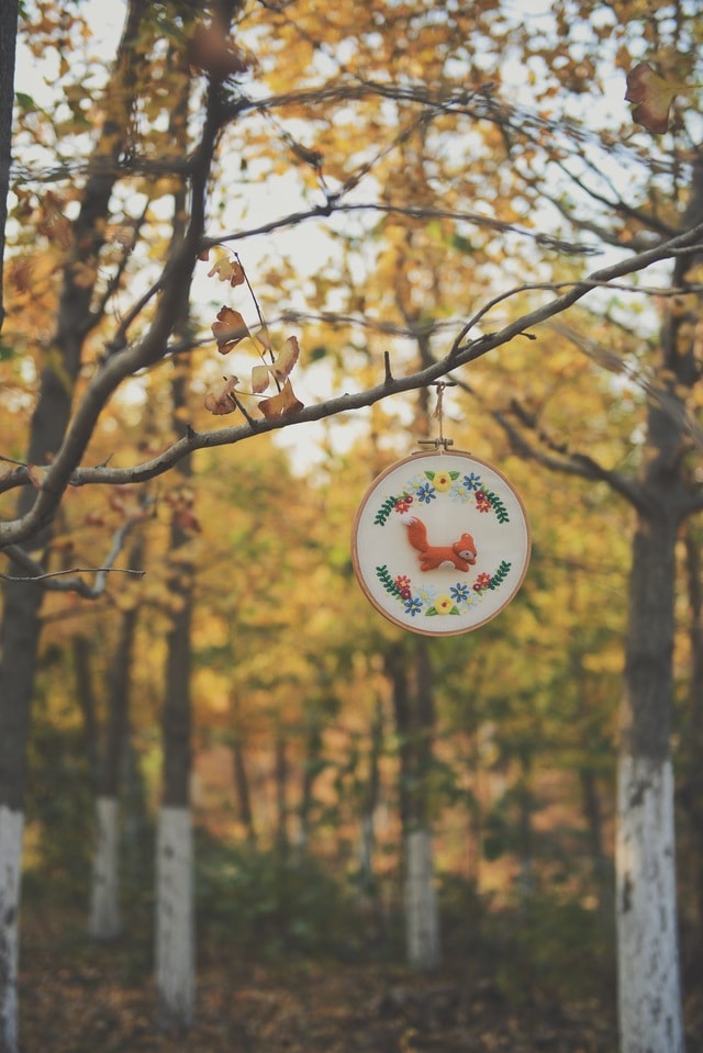 tree-nature-branch-leaf-winter 图片素材