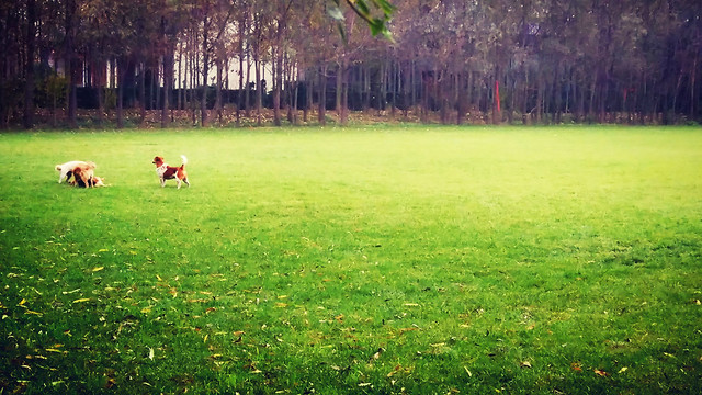 西安阿方宫旧址 图片素材