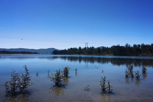 lake-body-of-water-reflection-sky-water 图片素材
