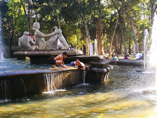 water-river-park-wood-tree picture material