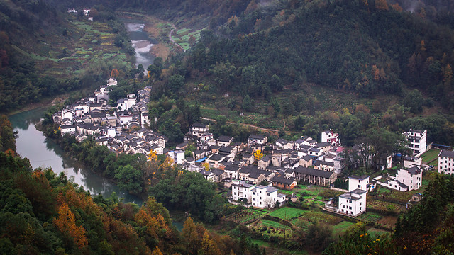 mountain-city-water-tree-landscape 图片素材