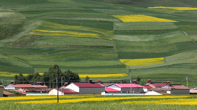 abstract-art-pattern-background-illustration 图片素材