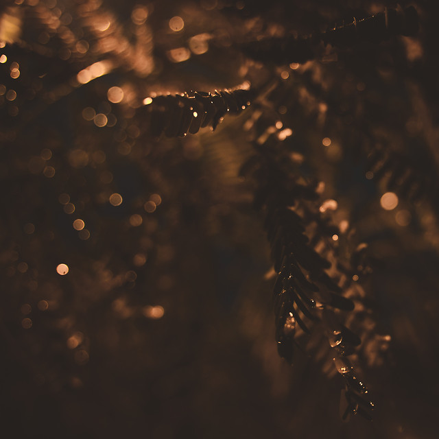 light-evening-winter-christmas-blur 图片素材