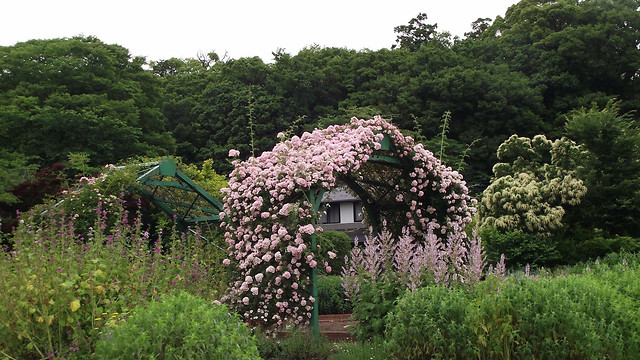 薔薇の家 图片素材