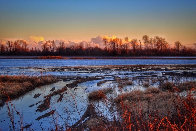 natural-landscape-sky-nature-marsh-water picture material