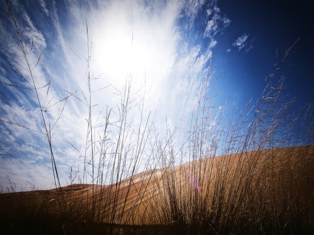 sky-blue-cloud-nature-daytime 图片素材