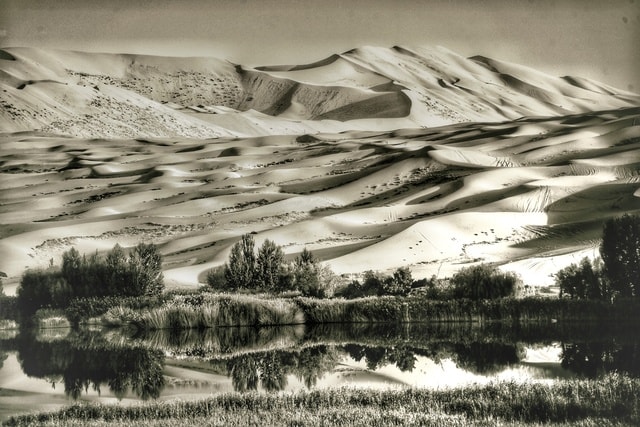 bw-nature-black-and-white-natural-environment-badlands picture material