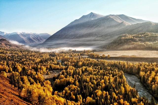 hemu-morning-fog picture material