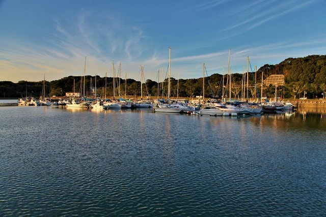 marina-water-reflection-harbor-waterway picture material