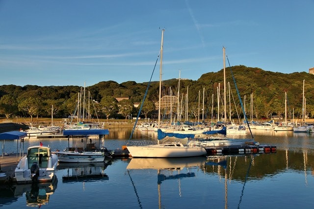 marina-harbor-water-reflection-boat 图片素材