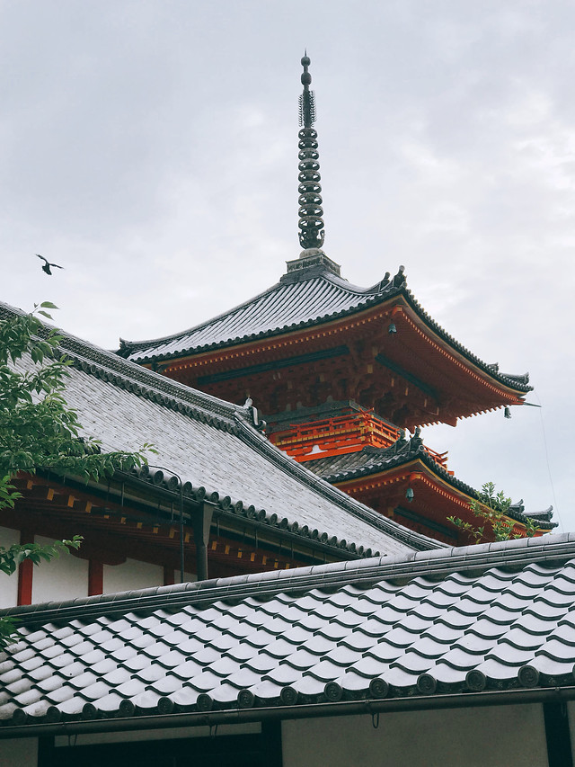 roof-no-person-temple-chinese-architecture-architecture 图片素材