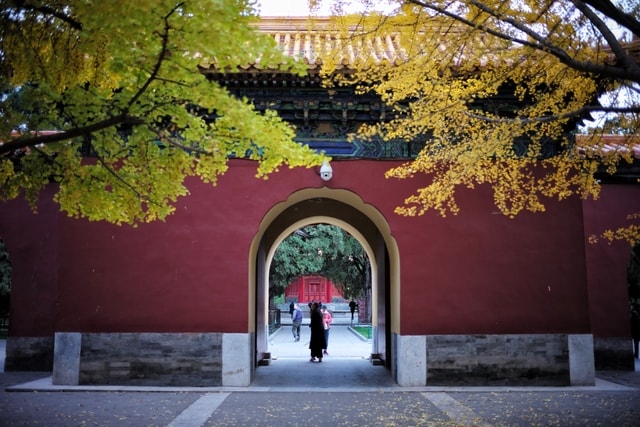 tree-architecture-wall-building-beijing-lidong picture material