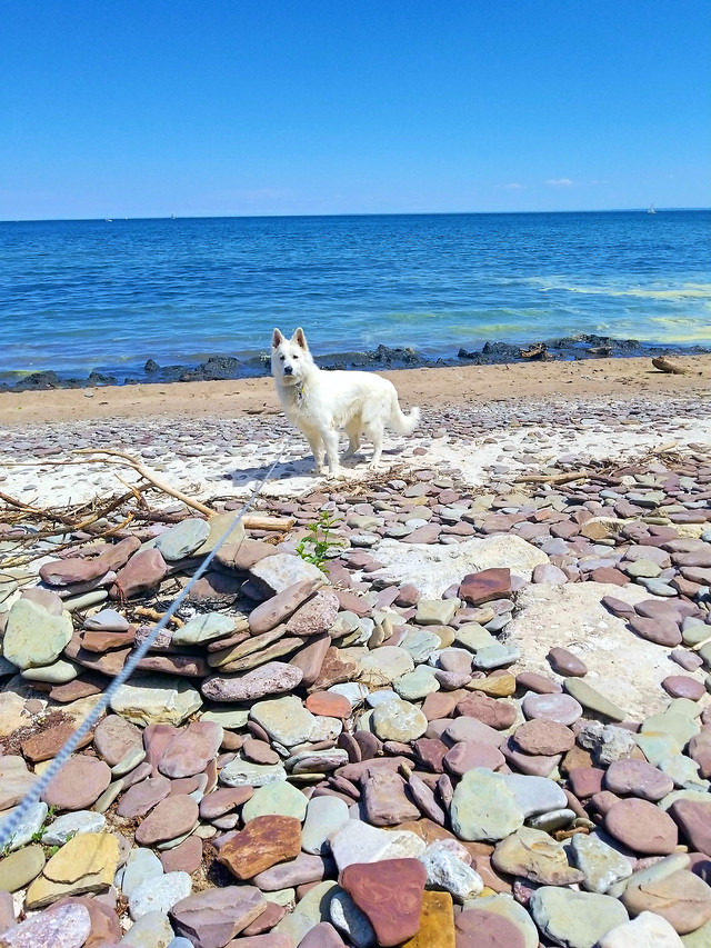 beach-nature-water-sea-seashore 图片素材