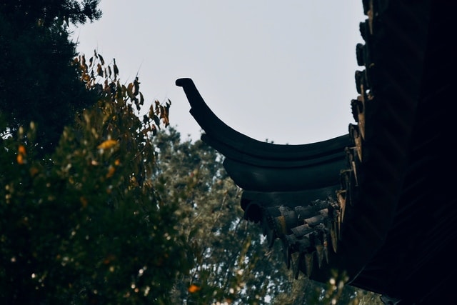 sky-tree-architecture-leaf-sunlight 图片素材