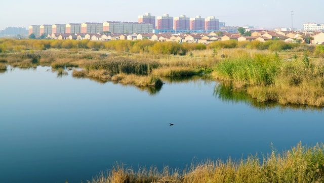 reflection-water-river-lake-sky picture material