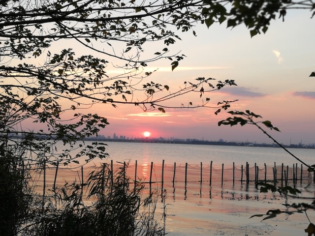 sky-sunset-sunrise-sea-water picture material