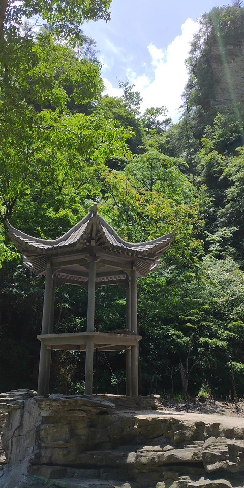 wood-no-person-tree-garden-nature picture material