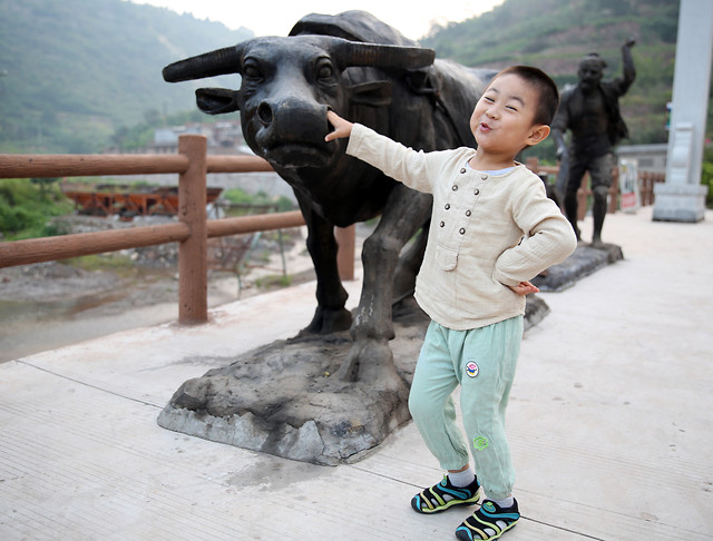 child-recreation-cow-huishui-village-cixian picture material