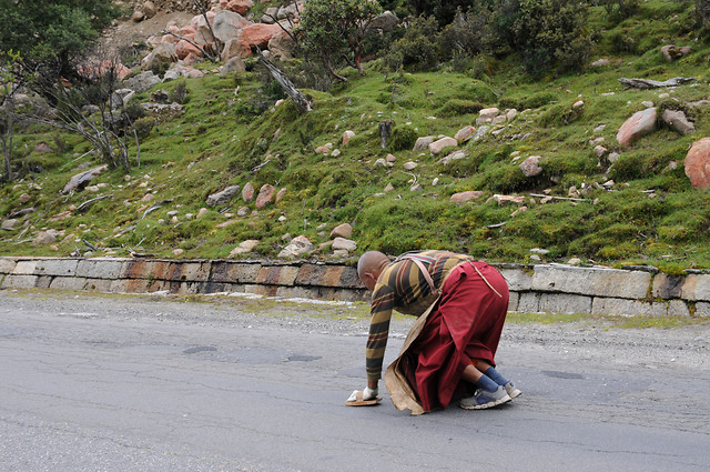 people-travel-landscape-one-road picture material