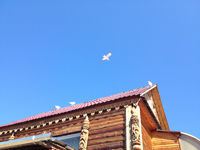 no-person-roof-sky-architecture-travel 图片素材