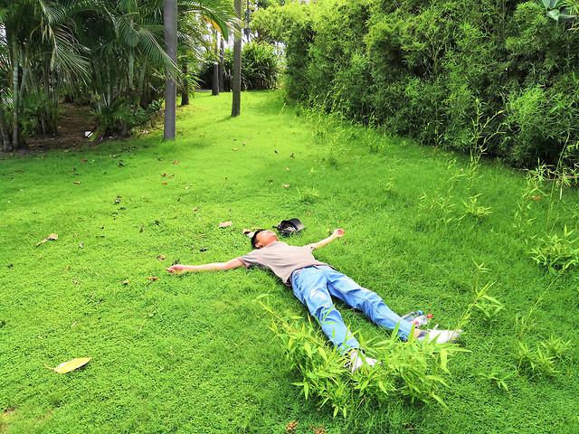 grass-nature-summer-relaxation-leisure 图片素材