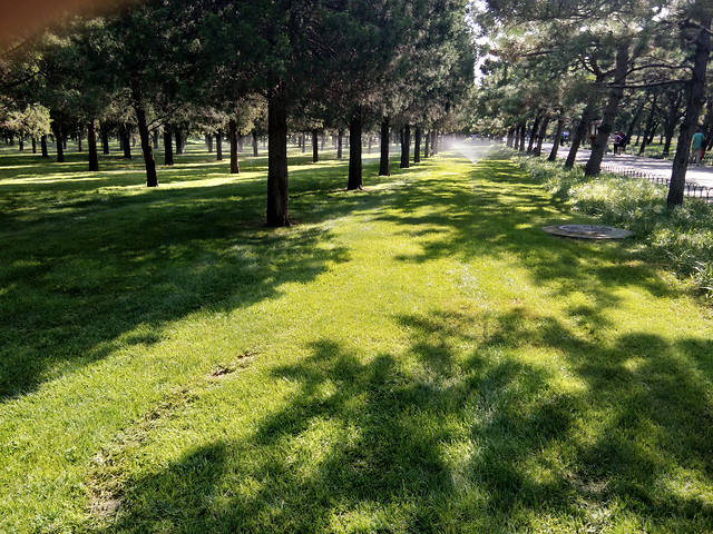 landscape-grass-tree-nature-park 图片素材