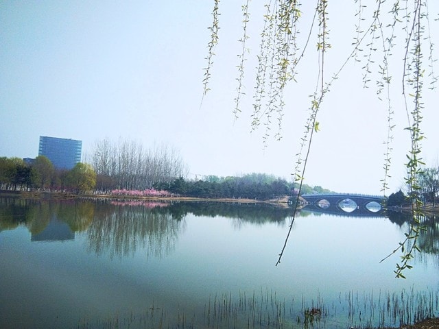 reflection-water-tree-atmospheric-phenomenon-natural-landscape 图片素材