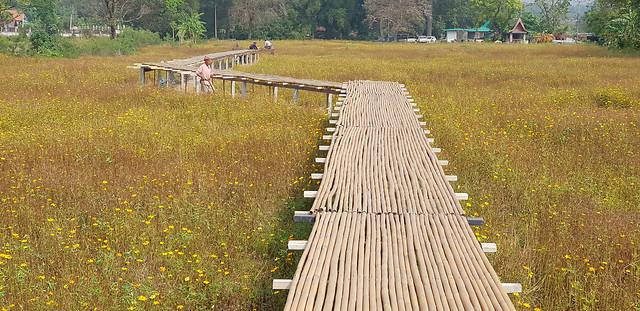 no-person-wood-rural-outdoors-agriculture picture material