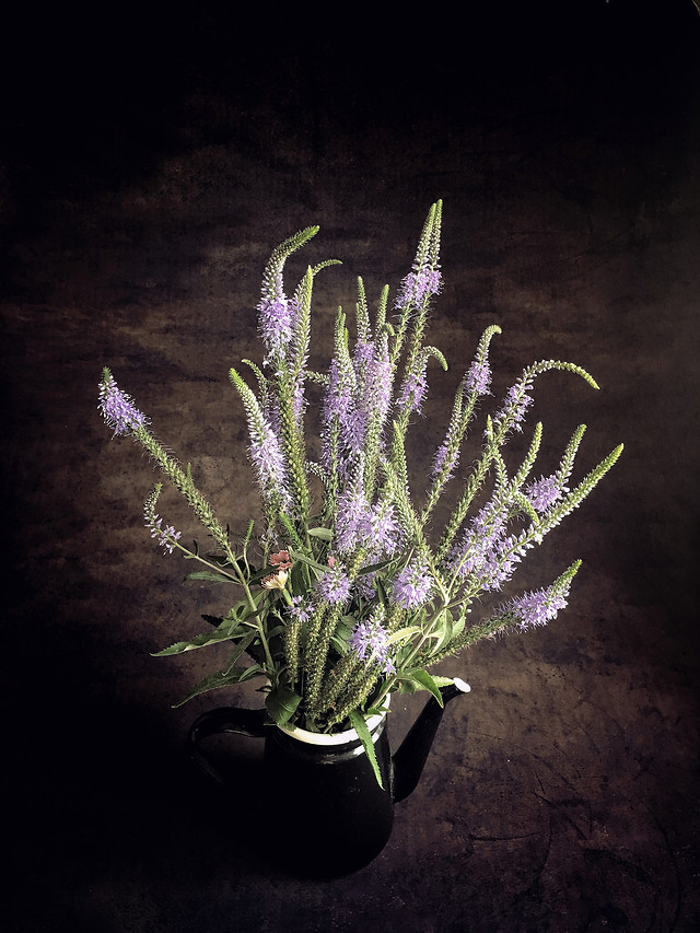 orchid-grass picture material