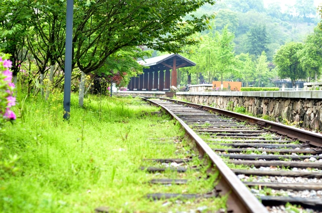 track-tree-train-grass-landscape 图片素材