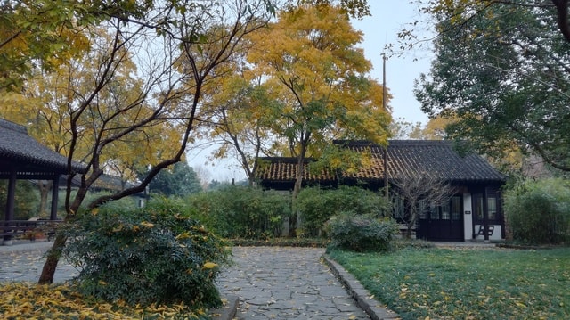 house-tree-landscape-garden-fallen-leaves picture material