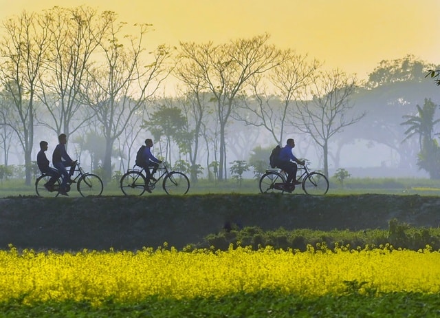 nature-yellow-atmospheric-phenomenon-cycling-sky 图片素材