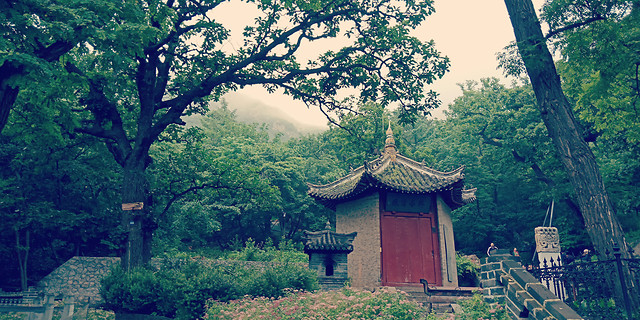 no-person-tree-wood-travel-architecture 图片素材