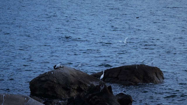 water-sea-ocean-blue-rock 图片素材