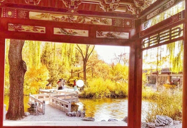 yellow-room-tree-architecture-picture-frame picture material