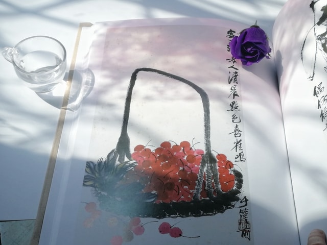 still-life-flower-plant-glass-still-life-photography 图片素材